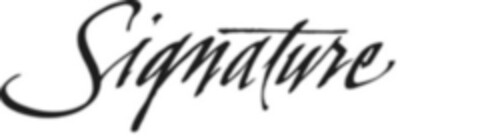 Signature Logo (IGE, 05.11.2020)