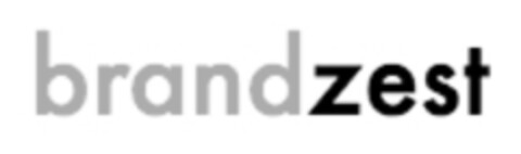 brandzest Logo (IGE, 28.07.2010)