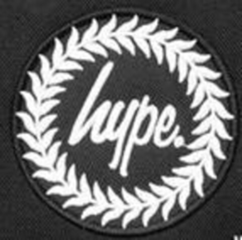 hype Logo (IGE, 15.02.2019)