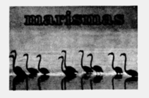 marismas Logo (IGE, 07.07.1983)