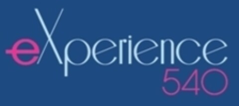 experience 540 Logo (IGE, 01.06.2010)