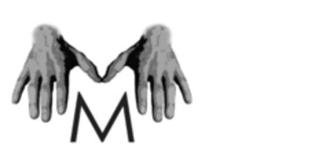 M Logo (IGE, 23.11.2016)
