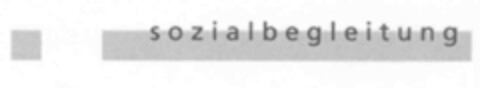 sozialbegleitung Logo (IGE, 22.06.2004)