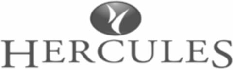 HERCULES Logo (IGE, 21.05.2008)