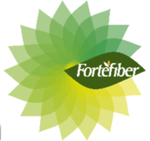 Fortefiber Logo (IGE, 03/21/2007)