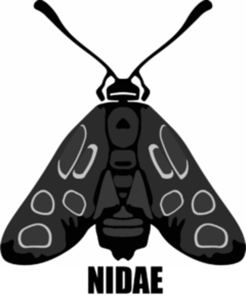 NIDAE Logo (IGE, 08.10.2020)