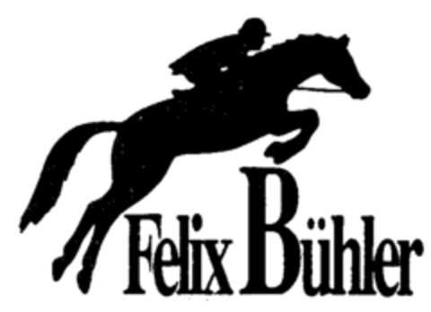 Felix Bühler Logo (IGE, 02/22/1991)