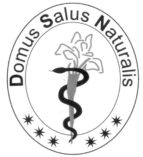 Domus Salus Naturalis Logo (IGE, 11/14/2002)