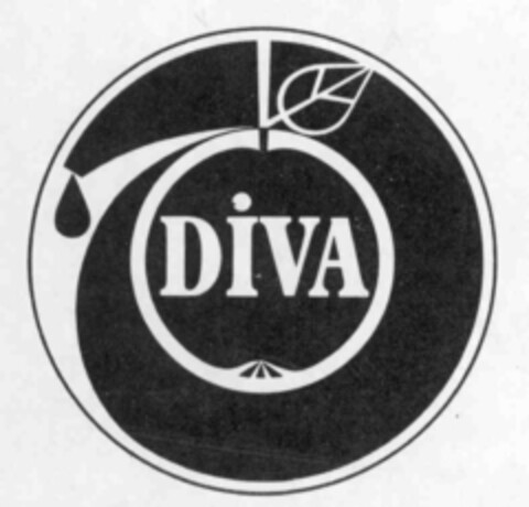 DiVA Logo (IGE, 06.04.1973)