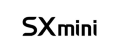 SXmini Logo (IGE, 14.06.2019)