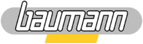 baumann Logo (IGE, 12/16/2005)