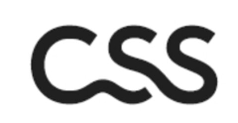 CSS Logo (IGE, 12.05.2020)