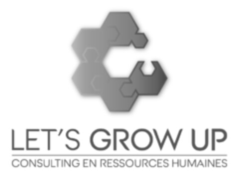 LET'S GROW UP CONSULTING EN RESSOURCES HUMAINES Logo (IGE, 09/12/2019)