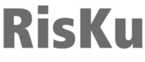 RisKu Logo (IGE, 28.03.2008)
