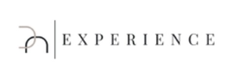 EXPERIENCE Logo (IGE, 10/28/2019)