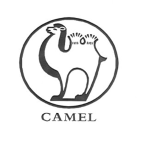 CAMEL Logo (IGE, 15.03.2010)