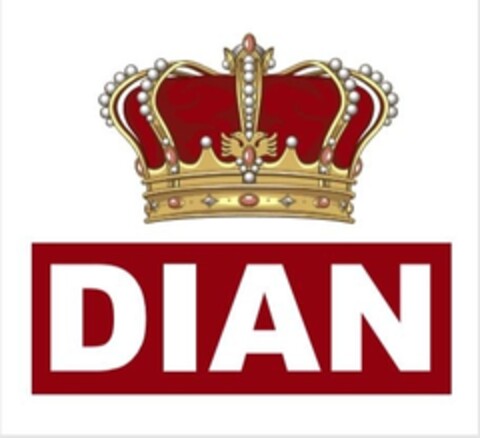 DIAN Logo (IGE, 22.01.2020)