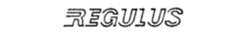 REGULUS Logo (IGE, 27.10.1988)