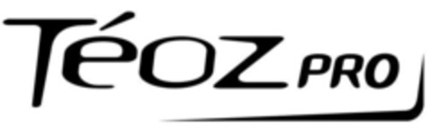 Téoz PRO Logo (IGE, 07/02/2007)