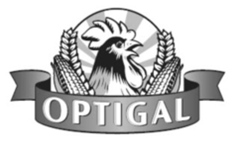 OPTIGAL Logo (IGE, 18.07.2013)