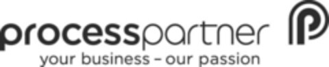 processpartner your business - our passion p Logo (IGE, 22.01.2013)