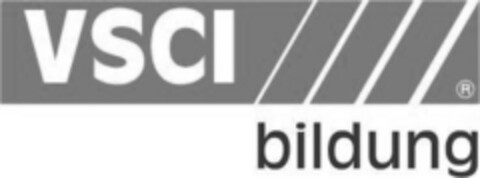 VSCI bildung Logo (IGE, 29.11.2016)