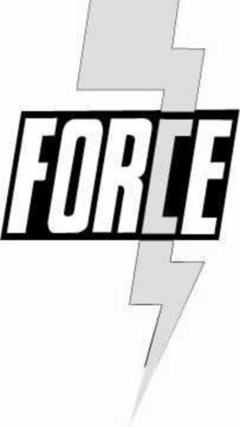 FORCE Logo (IGE, 09.10.2006)