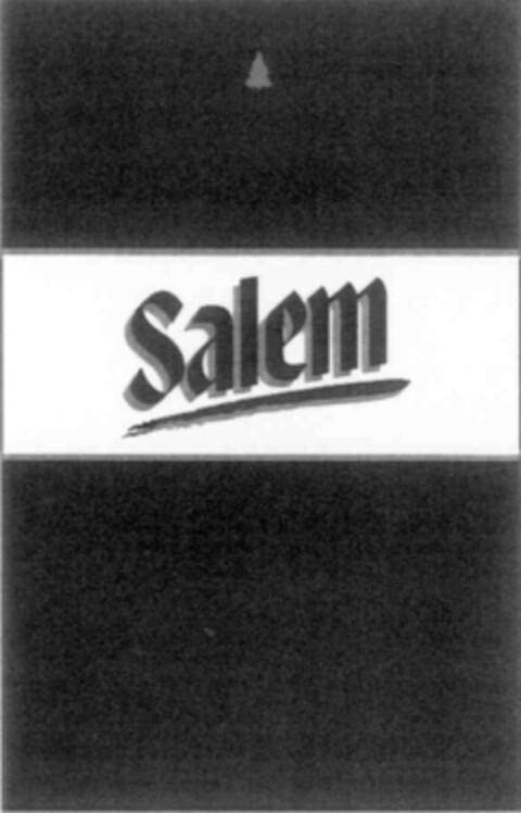 Salem Logo (IGE, 11/11/2002)