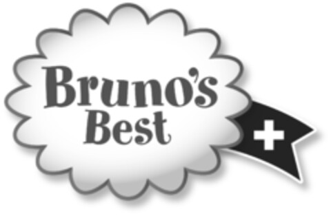 Bruno's Best Logo (IGE, 01/25/2017)