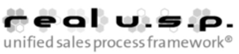 real u. s. p. unified sales process framework Logo (IGE, 13.07.2009)