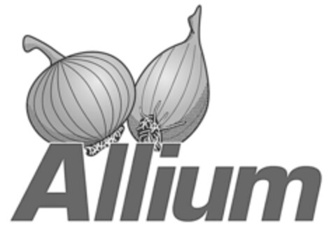 Allium Logo (IGE, 11.04.2018)