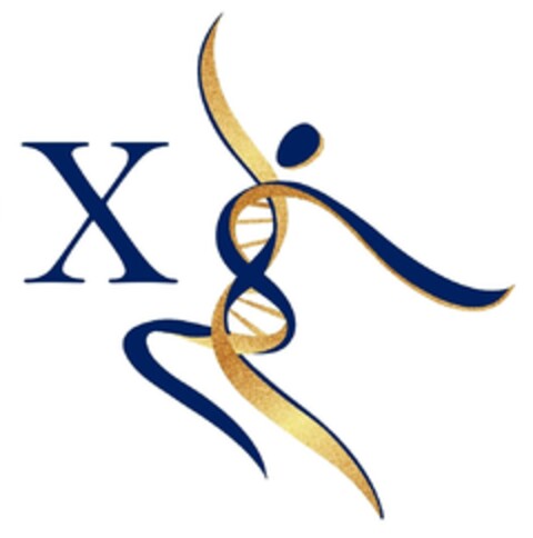 X Logo (IGE, 26.08.2018)