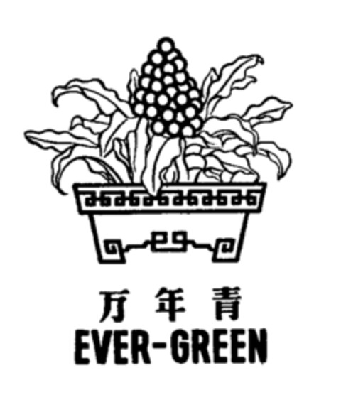 EVER-GREEN Logo (IGE, 08.03.1983)