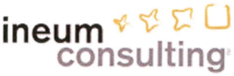 ineum consulting Logo (IGE, 15.01.2007)