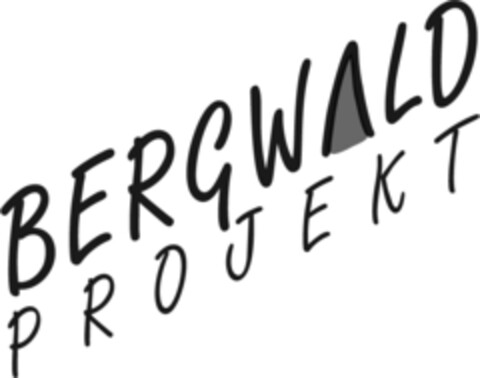 BERGWALDPROJEKT Logo (IGE, 17.12.2013)