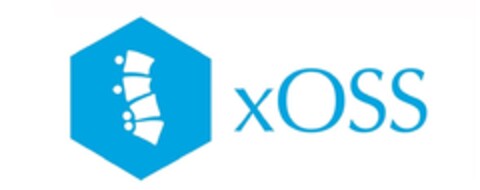 xOSS Logo (IGE, 24.04.2017)