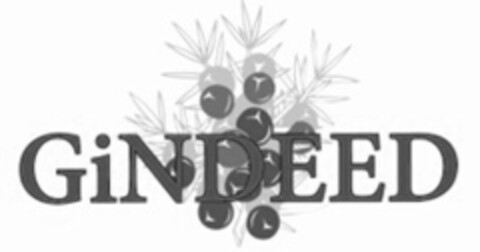 GiNDEED Logo (IGE, 21.11.2023)