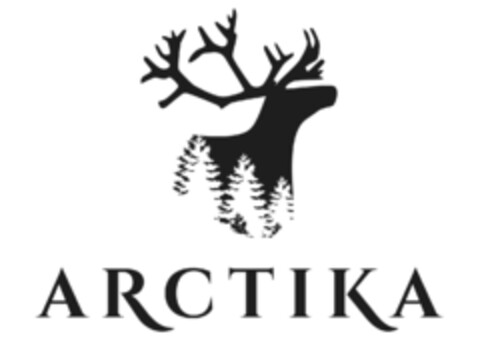 ARCTIKA Logo (IGE, 21.01.2021)