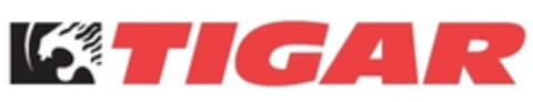 TIGAR Logo (IGE, 25.07.2013)