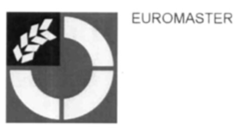 EUROMASTER Logo (IGE, 18.02.2003)