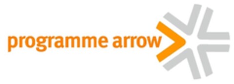 programme arrow Logo (IGE, 18.04.2013)