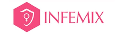 INFEMIX Logo (IGE, 24.04.2017)