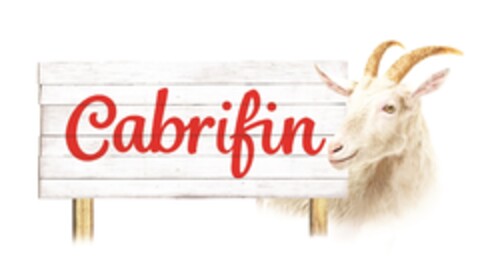 Cabrifin Logo (IGE, 20.11.2015)