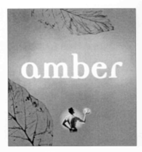 amber Logo (IGE, 18.08.1999)