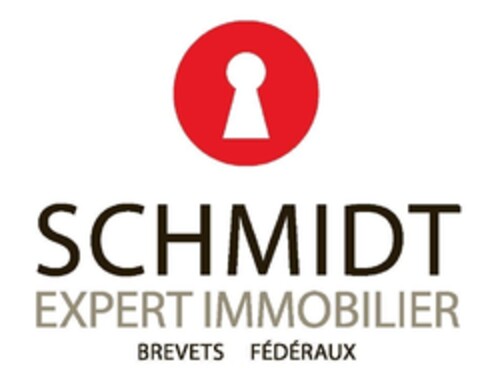 SCHMIDT EXPERT IMMOBILIER BREVETS FÉDÉRAUX Logo (IGE, 19.04.2012)
