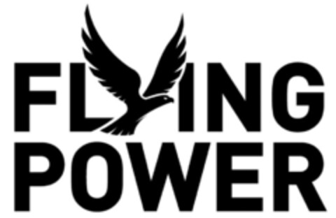 FLYING POWER Logo (IGE, 22.03.2021)