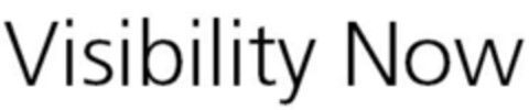 Visibility Now Logo (IGE, 06/10/2009)