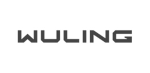 WULING Logo (IGE, 26.03.2021)