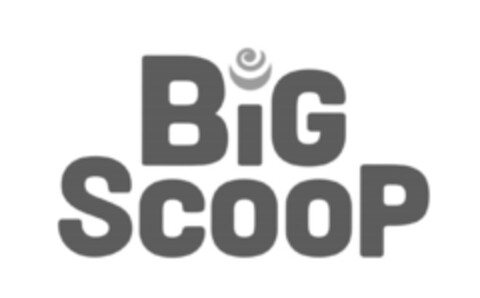 BiG SCOOP Logo (IGE, 07/26/2023)