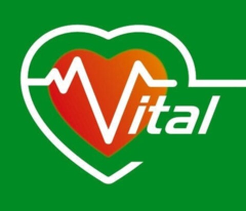 Vital Logo (IGE, 13.04.2005)